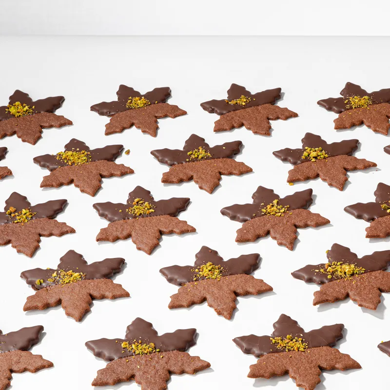 Chocolate Dipped Cookies | Schucks